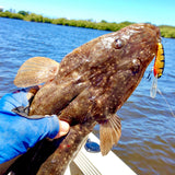 Micro Mullet - Black / Gold