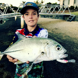 Micro Mullet - Grey Ghost