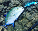 7" Mack Bait - Purple Bonito