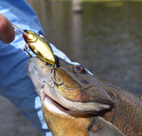 Mohawk - Black / Gold