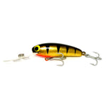 Micro Mullet - Black / Gold