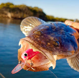 Micro Mullet - Pink Bit