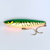 Ziggy SD '140' - Aussie Gold