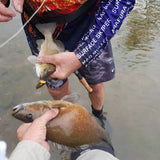 Ziggy SD '90' - Black Knight