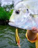 Mad Mullet 4" Shallow - Black / Gold