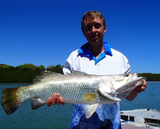 Mad Mullet 6" Shallow - Grey Ghost