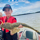 Micro Mullet - Orange / Gold