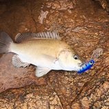 Micro Mullet - Blue Glitter