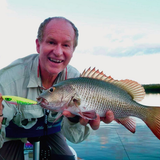 Ziggy SD '90' - Lime Tiger